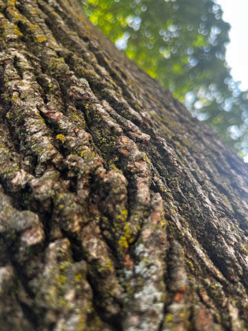 texture 2